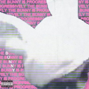 bunny! (Explicit)