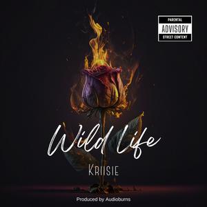 WILD LIFE (Explicit)