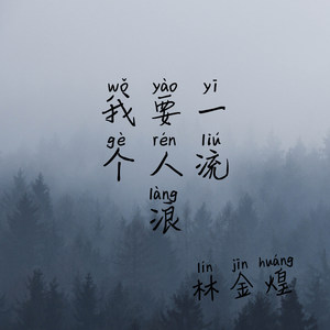 夜场顶级 (DJ版)封面