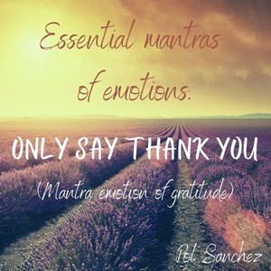 Only Say Thank You (Mantra Emotion of Gratitude)