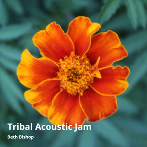 Tribal Acoustic Jam