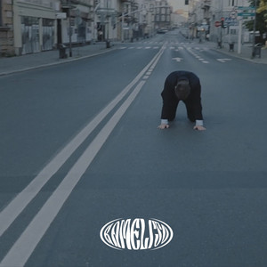 HOMO DUPLEX (Explicit)