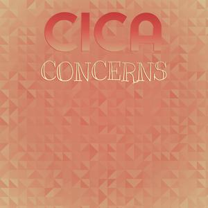 Cica Concerns