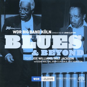 WDR Big Band Cologne - You Are So Beautiful