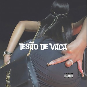 MTG - TESÃO DE VACA (Explicit)