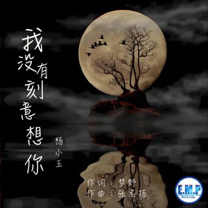 我没有刻意想你
