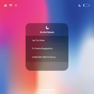 Do Not Disturb(feat. Frankie Braggadocio) (CMEANDU Remix)