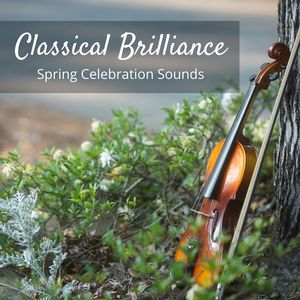 Classical Brilliance: Spring Celebration Sounds