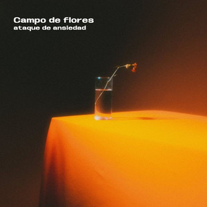 Campo de Flores