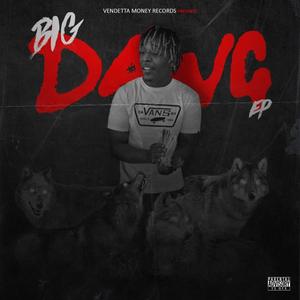 Big Dawg (feat. Rocko & BadDamon) (Explicit)
