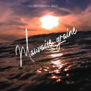 Mauvaise graine (feat. Meji)