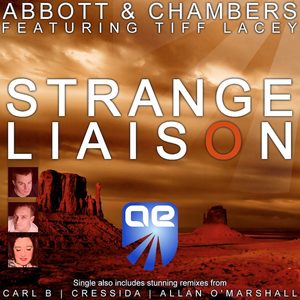 Strange Liaison (Allan O'Marshall Remix)