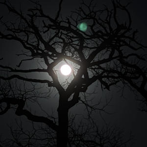 rockstarwave (Explicit)