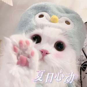 夏日心动（可爱BGM）