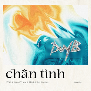 Chân Tình (Remix)