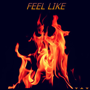 Feel Like (Explicit)