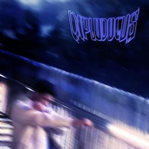 DIPLODOCUS (Explicit)