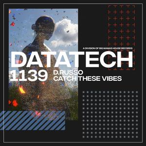Catch These Vibes (Extended Mix)