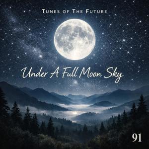 Under a Full Moon Sky