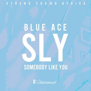 Somebody Like You (Sly)