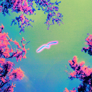 Canto Dormido (Lupita Zuniga Remix)