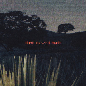 Dont Need Much (Explicit)