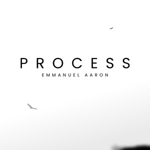 Process