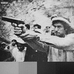 QAIDI NO. 804 (Explicit)