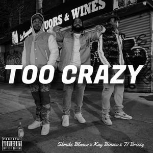 Too Crazy (Explicit)