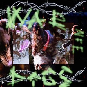 Vertigo (feat. RIP NITRO) (Explicit)