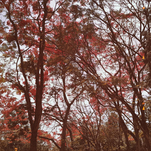 Teri Baatein (Acoustic Version)