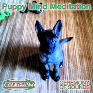 Puppy Mind Meditation(feat. Mark Staley & Joseph B. Carringer) (Voice Guided)