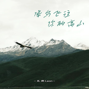 像鸟飞往你的高山