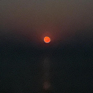 CIBO X L'ANIMA (Explicit)