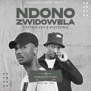 Ndono Zwidowela (feat. Misterwiz)