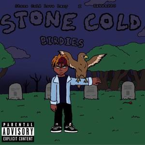 Stone Cold Birdies (Explicit)