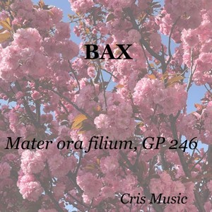 Bax: Mater ora filium, GP 246