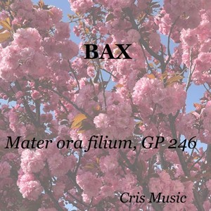 Bax - Mater ora filium, GP 246