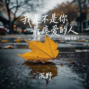 我是不是你最疼爱的人 (烟嗓男版)