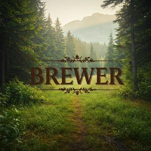 Brewer