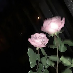 霍元甲 (伴奏) - 唤魚封面