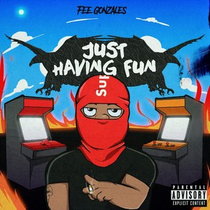 Just Having Fun (Explicit)