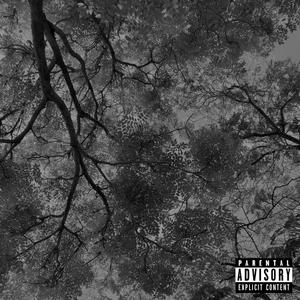 roots n leaves (feat. 4drian & Toryon) [Explicit]