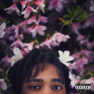 Like This (feat. Randy Ferino, Jordan Grant & Sept.Virg) (Explicit)