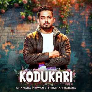 Kodukari