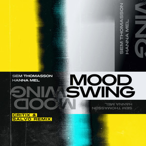 Mood Swing (Critix & Salvo Remix)