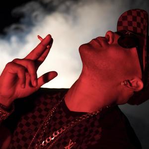 Animales En La Selva (Explicit)