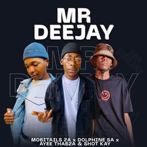 Mr_Deejay_OfficialHit. (feat. Dolphine sa, Ayee Thabza & Shotkayy)