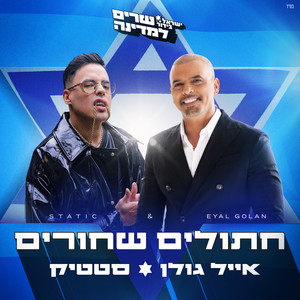 חתולים שחורים