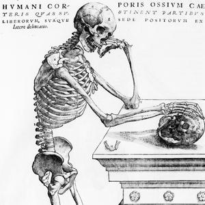 Taxidermist (Explicit)